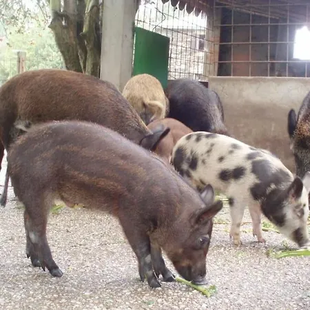Lamacido Farm-House *
